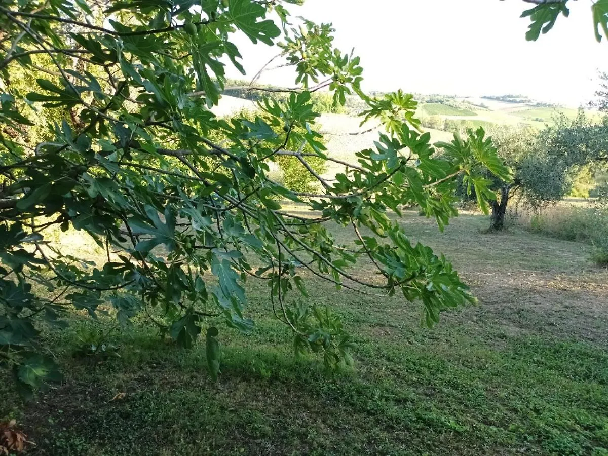 Oasi Santaquilina Apartment 33962 - 78613 Rimini